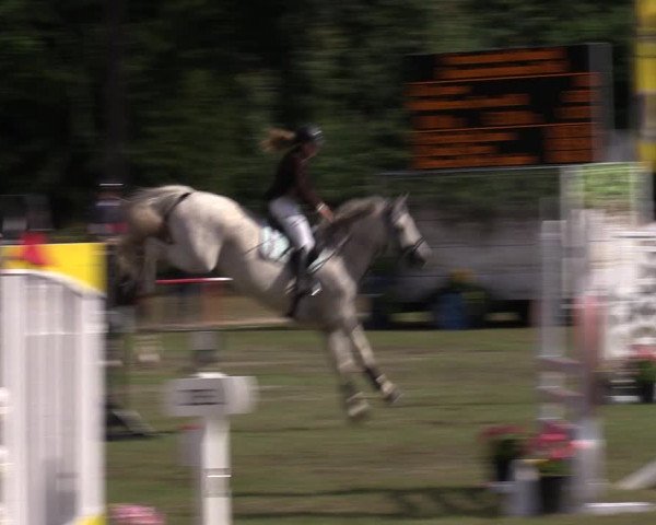 Reitturnier Boock 2023