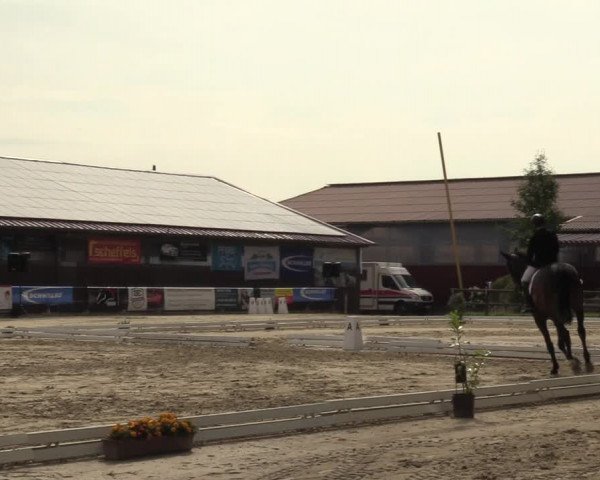 Reitturnier Marienheide-Kempershöhe 2023