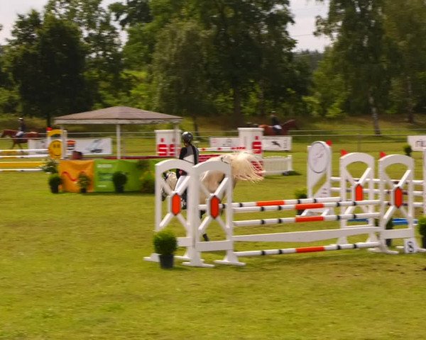 Reitturnier Gardelegen 2023