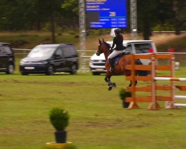 Reitturnier Gardelegen 2023