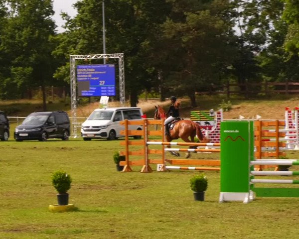 Reitturnier Gardelegen 2023