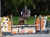 jumper Anton 945 (Holsteiner, 2017, from Adagio de Talma)