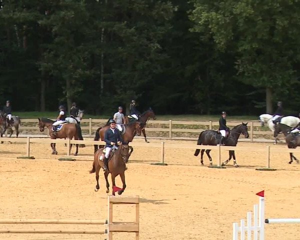 Reitturnier Tiefenhof/Opf. 2023