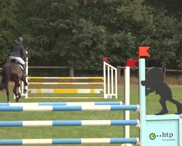 Reitturnier Thönse 2023