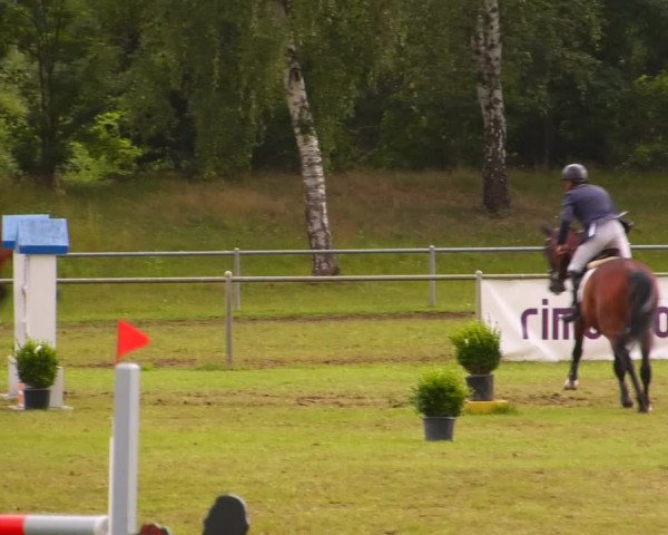 Reitturnier Gardelegen 2023
