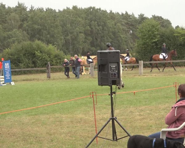 Reitturnier Thönse 2023
