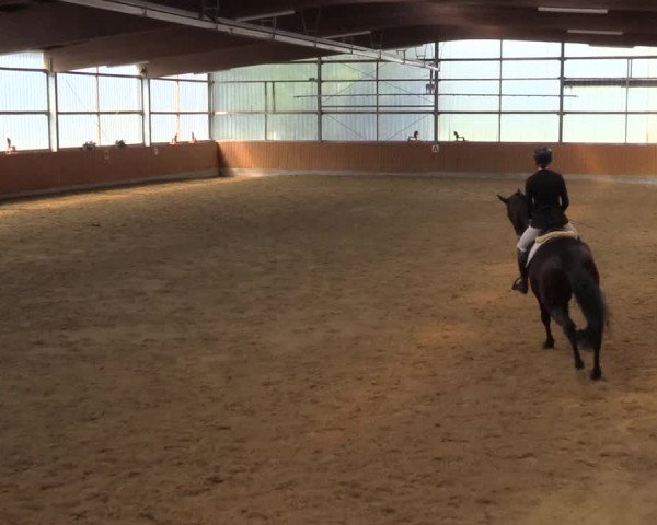 Reitturnier Herbern 2023