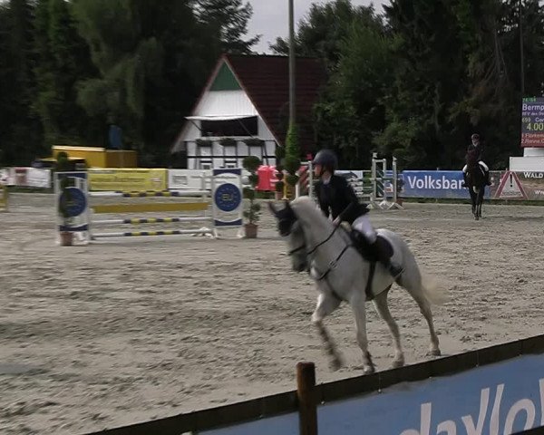 Reitturnier Vlotho-Exter 2023