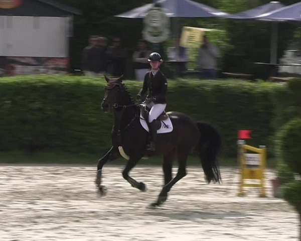 Reitturnier Vlotho-Exter 2023