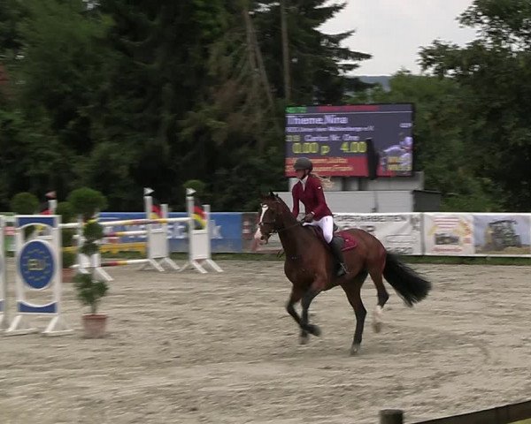 Reitturnier Vlotho-Exter 2023