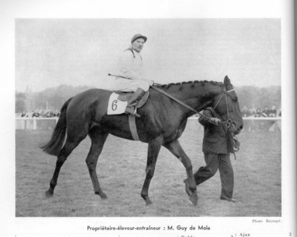 stallion Tombeur xx (Thoroughbred, 1955, from Tresor xx)