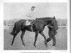 stallion Tombeur xx (Thoroughbred, 1955, from Tresor xx)