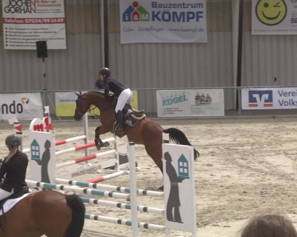 Reitturnier Ehningen 2023