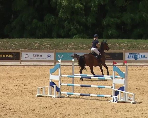 Reitturnier Tiefenhof/Opf. 2023