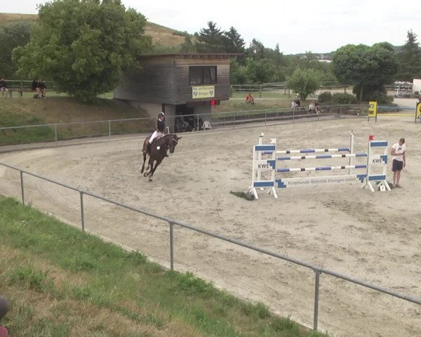 Reitturnier Ehningen 2023