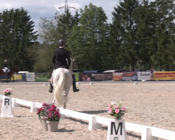 Reitturnier Amstetten 2023