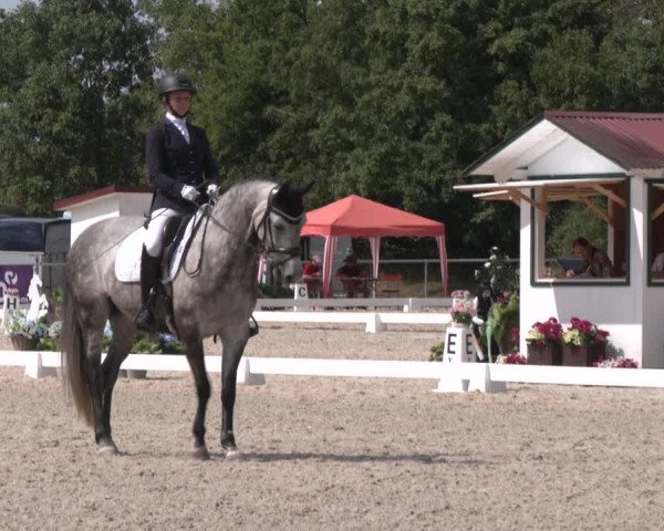 Reitturnier Amstetten 2023