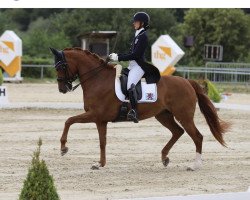 dressage horse Zasou (Westphalian, 2012, from Zhivago)