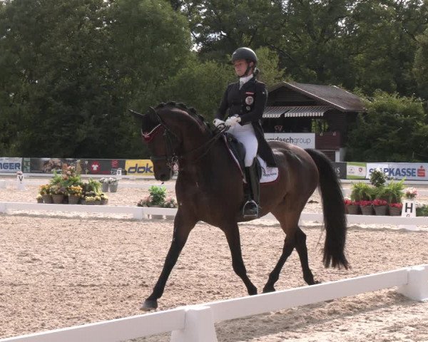 Reitturnier Amstetten 2023