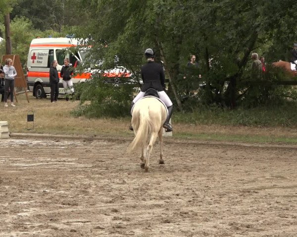 Reitturnier Thönse 2023