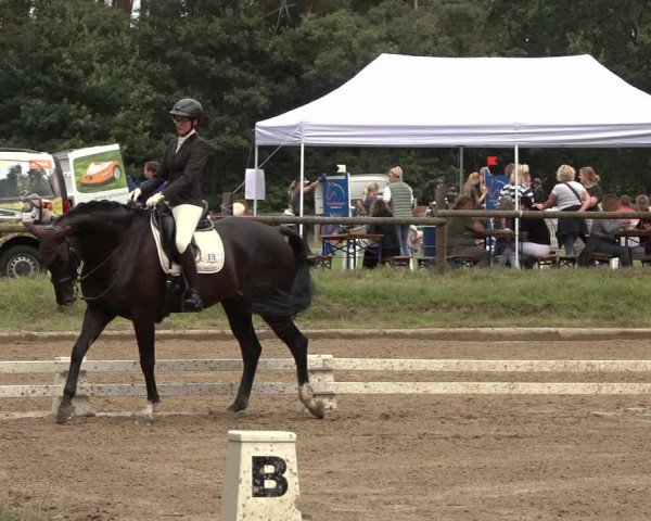 Reitturnier Thönse 2023