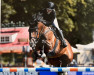 jumper Via Mala 13 (Oldenburg show jumper, 2016, from Vancouver d'Auvray)