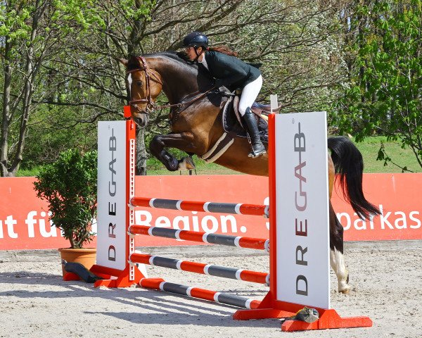 jumper Maloubet 4 (German Sport Horse, 2018, from Maloubet de Pleville)