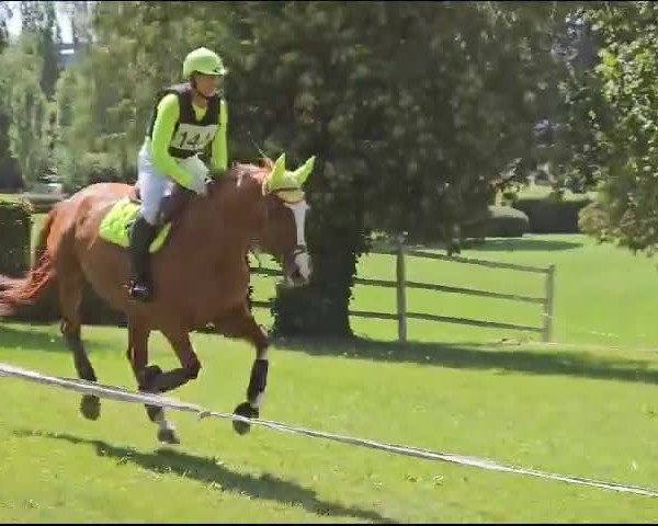 Video of Dedee