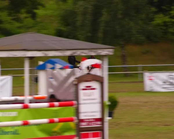 Reitturnier Gardelegen 2023
