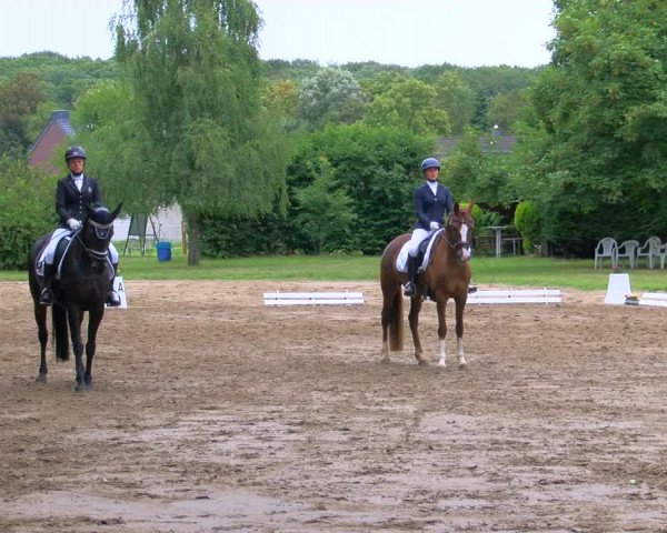 Reitturnier Viersen-Dülken 2023