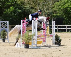 jumper Bettie Og (Connemara Pony, 2017, from Currachmore Cashel)