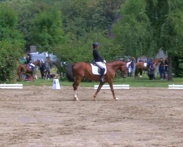Reitturnier Viersen-Dülken 2023