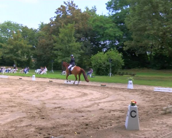 Reitturnier Viersen-Dülken 2023