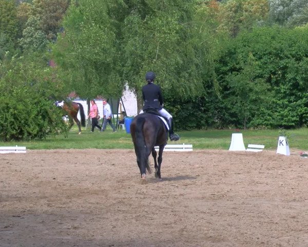 Reitturnier Viersen-Dülken 2023