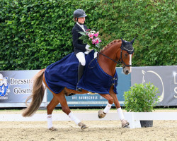 dressage horse Creamy de Luxe (German Riding Pony, 2014, from Mac Creamy)