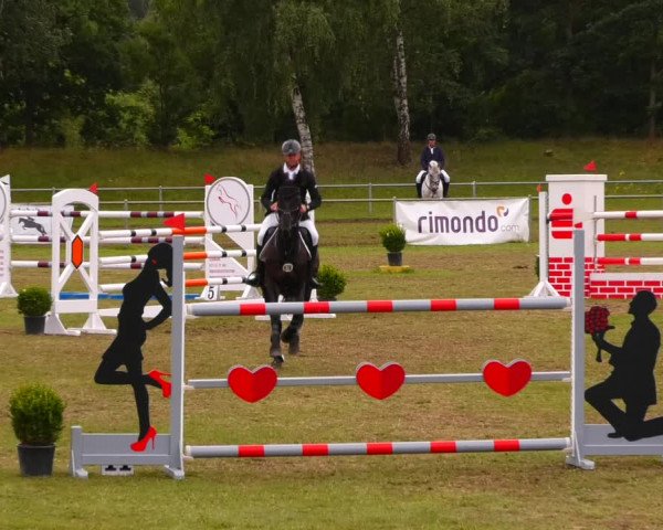 Reitturnier Gardelegen 2023