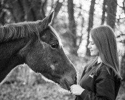 horse Bella-Berina (German Riding Pony, 1995, from Lord)