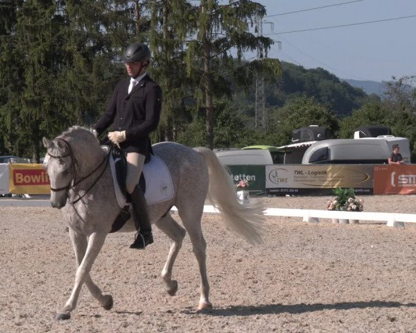 Reitturnier Amstetten 2023