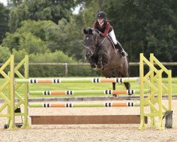 jumper Garcia Lente (KWPN (Royal Dutch Sporthorse), 2011, from Bodinus)