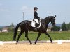 dressage horse Letizia 8 (Austrian Warmblood, 2018, from Birkhof's Fair Game OLD)