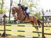 jumper Limit 66 (German Sport Horse, 2017, from Limasol)