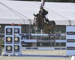 jumper Ons Mathilde van de Wilgendreef (Belgian Warmblood, 2014, from Bisquet Balou C)