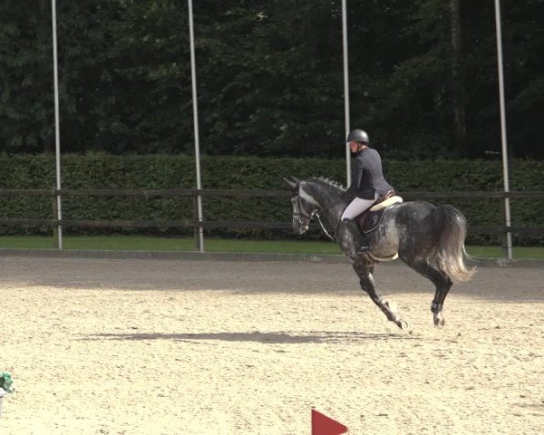 Reitturnier Klein Roscharden 2023