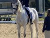 dressage horse de Nurio (Württemberger, 2012, from Birkhofs Denario)