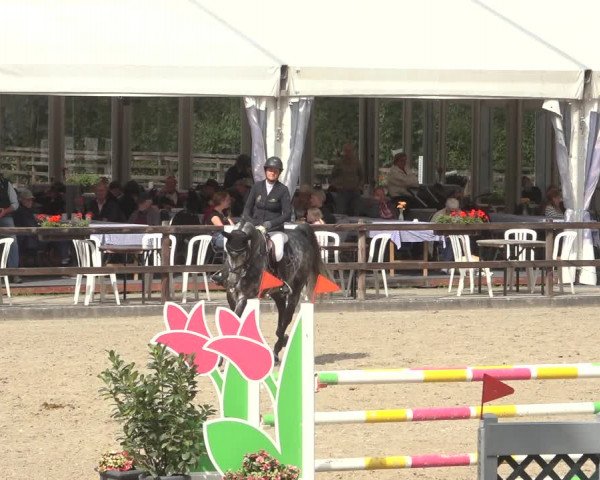 Reitturnier Klein Roscharden 2023