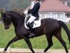 dressage horse Que Sera 32 (Hanoverian, 2009, from Quaterback)