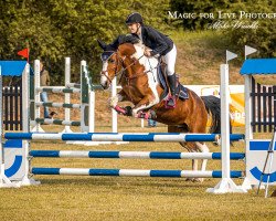 jumper Josie 129 (German Warmblood, 2010)