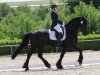 dressage horse Toni de Luxe (Luxembourg horse, 2014)