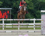 jumper Miara Stb Z (Zangersheide riding horse, 2016, from Mosito van het Hellehof)