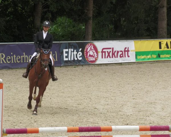 Reitturnier Karlsfeld 2023